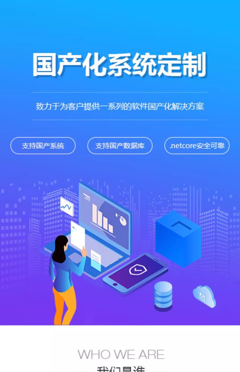 系统定制开发：为企业量身打造的科技解决方案